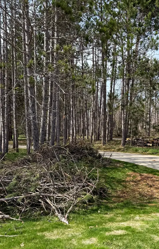 Storm Debris Clean Up Photo of storm debris for cleanup near Gaylord, MI