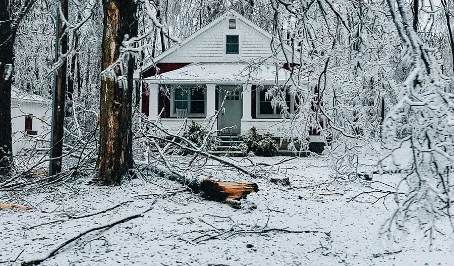 Northern Michigan ice storm Photo of Northern Michigan ice storm cleanup services